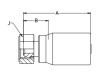 BSP 3/8