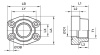 SAE Thread Flange Female BSPP