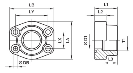 SAE Thread Flange Female BSPP