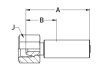 BSP 1/4