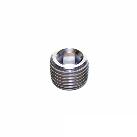 STAINLESS STEEL PLUG 3/4