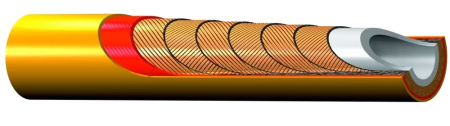 2741DTMTM080805-10000