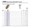 MALE 1/4"BSPT FDA NICKEL PLATE