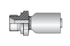 BSP 1/4