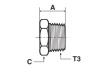HEX HEAD BSPT PIPE