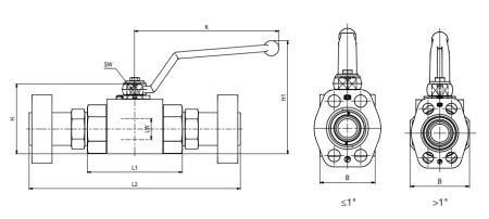 Ball valve ISO 6164 2