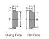 BLANK FLANGE 1-1/4