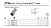 FEMALE STUD 3/4"BSPP SS STEEL