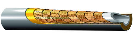 2841DTMTM080805/17-20000
