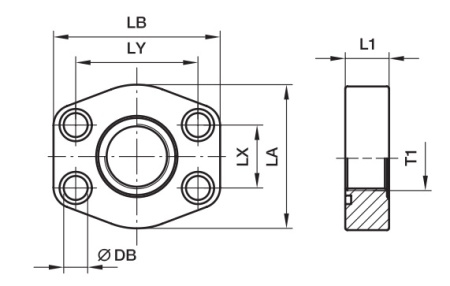 SAE Female Flat Flange BSPP