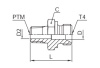 BSPP 60 degree cone