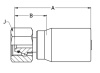 DKO-S 24° CONE M 36X2 SW46